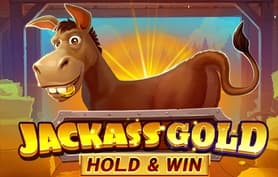 Jackass Gold Hold & Win - Novomatic